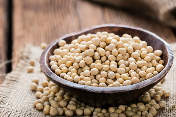 soya bean